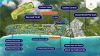 mo-ban-shophouse-grand-world-phu-quoc-thanh-pho-khong-ngu - ảnh nhỏ 2
