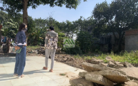 Nhà đầu tư tự tin xuống nhiều tiền vào bất động sản, kỳ vọng thị trường Dậy Sóng sau Tết Nguyên đán
