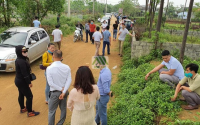 Chuyên gia: Đầu tư lướt sóng đất nền sẽ rủi ro trong năm 2022