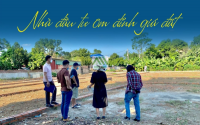 Chuyện những nhà đầu tư lỡ Đu Đỉnh bất động sản