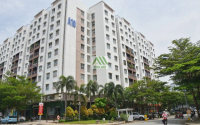 Áp niên hạn sở hữu chung cư: Không cần thiết!