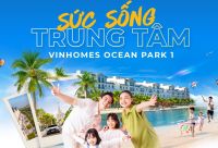 Vinhomes đồng hành cùng sở hữu và khách thuê tại Vinhomes Ocean Park 1 và Vinhomes Grand Park