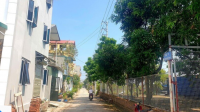 Đất làng Đông Anh giá 200-300 triệu đồng/m2 vẫn khan hàng, chủ nhà sợ hớ không bán