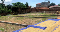 Hà Nội tăng diện tích tách thửa đất ở tối thiểu lên 50m2