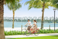 Cơ hội chưa từng có để sở hữu nhà sang tại Vinhomes Ocean Park