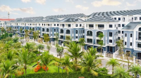 Chính sách hiếm có giúp giỏ hàng Vinhomes Ocean Park 2 chiếm sóng thị trường