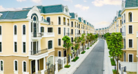Thị trường khởi sắc, niềm tin dẫn lối nhà đầu tư tới Ocean City