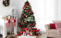 Những nguyên tắc phong thủy khi trang trí cây thông Noel